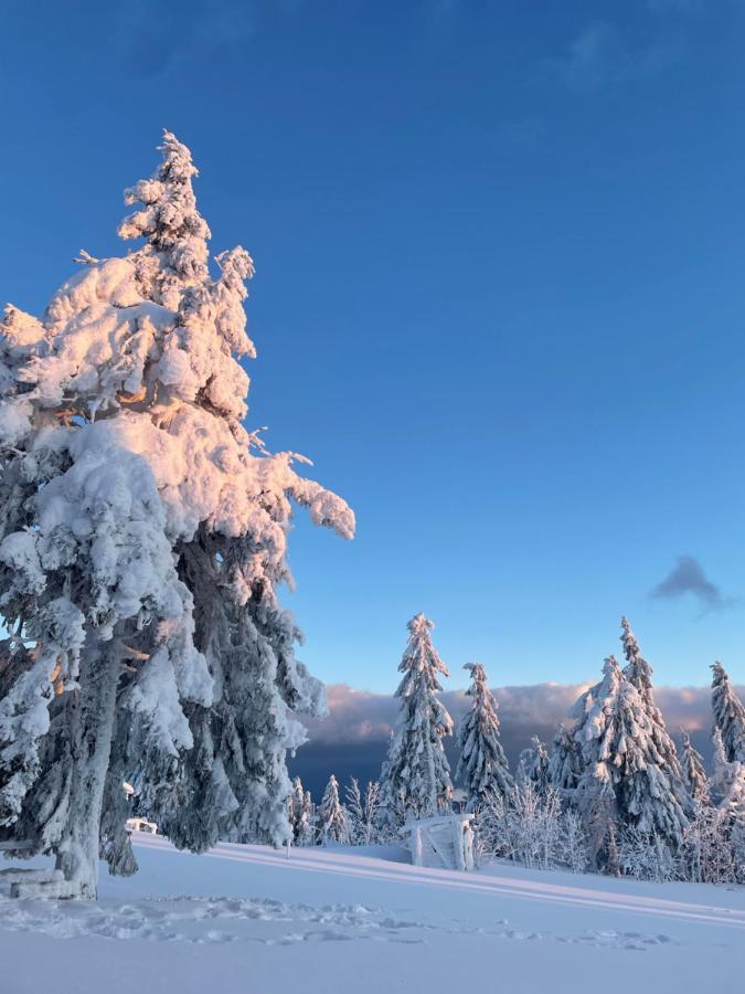 Садиба Рокса Slavske Buitenkant foto